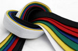 six sigma belts colors