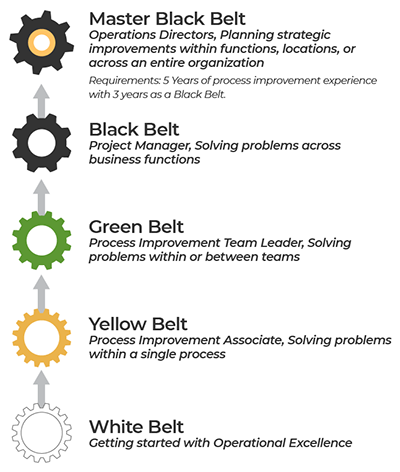 Lean Six Sigma Belt levels and how they support each other